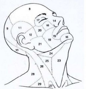 tratamento para flacidez de pescoço